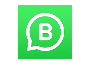 Download WhatsApp Business APK
