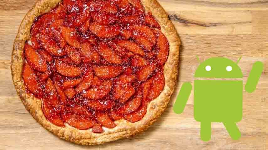 Quince Tart Android 10