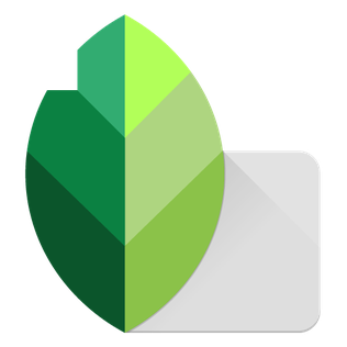 Download Snapseed for Windows Terbaru