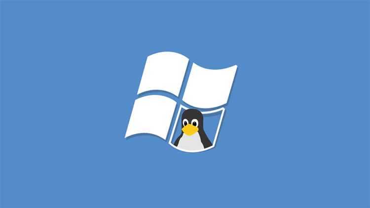 Linux Microsoft Windows