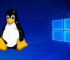 Ambisi Microsoft ‘Barter’ Edge ke Linux dan Linux GUI Apps ke Windows