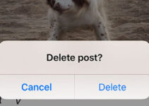 Instagram Kini Tetap Simpan Postingan Yang Terhapus Selama 30 Hari