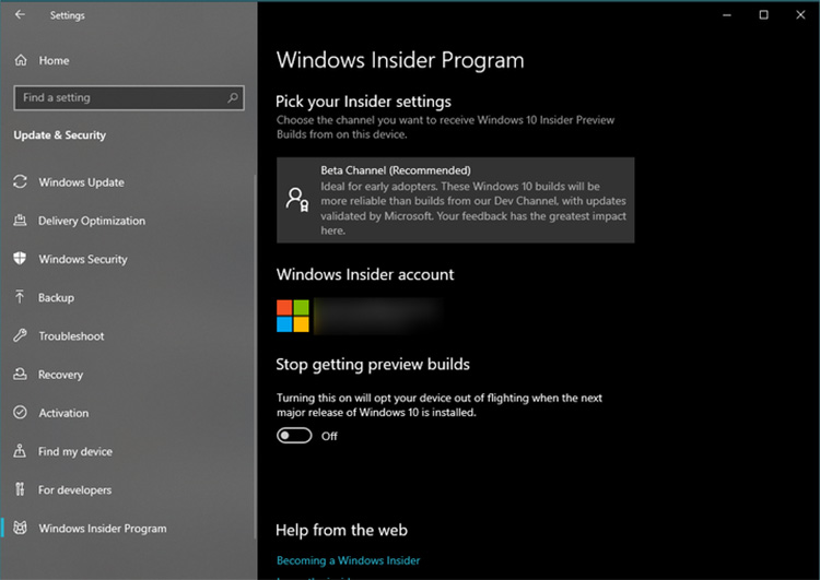 Program Windows Insider Beta Channel