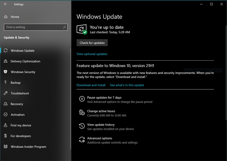 Tampilan Dialog Pembaruan Windows 10 21H1