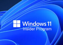 Sejumlah Bug Yang Ada di Build Pratinjau Pertama Windows 11