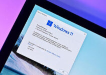Pengguna Windows 11 Insider, Mungkin Akan Terjebak di Kanal Pengembang