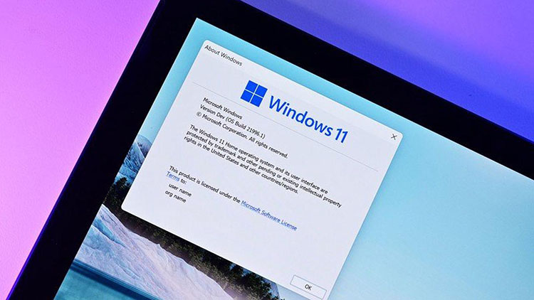 Pengguna Windows 11 Insider, Mungkin Akan Terjebak di Kanal Pengembang