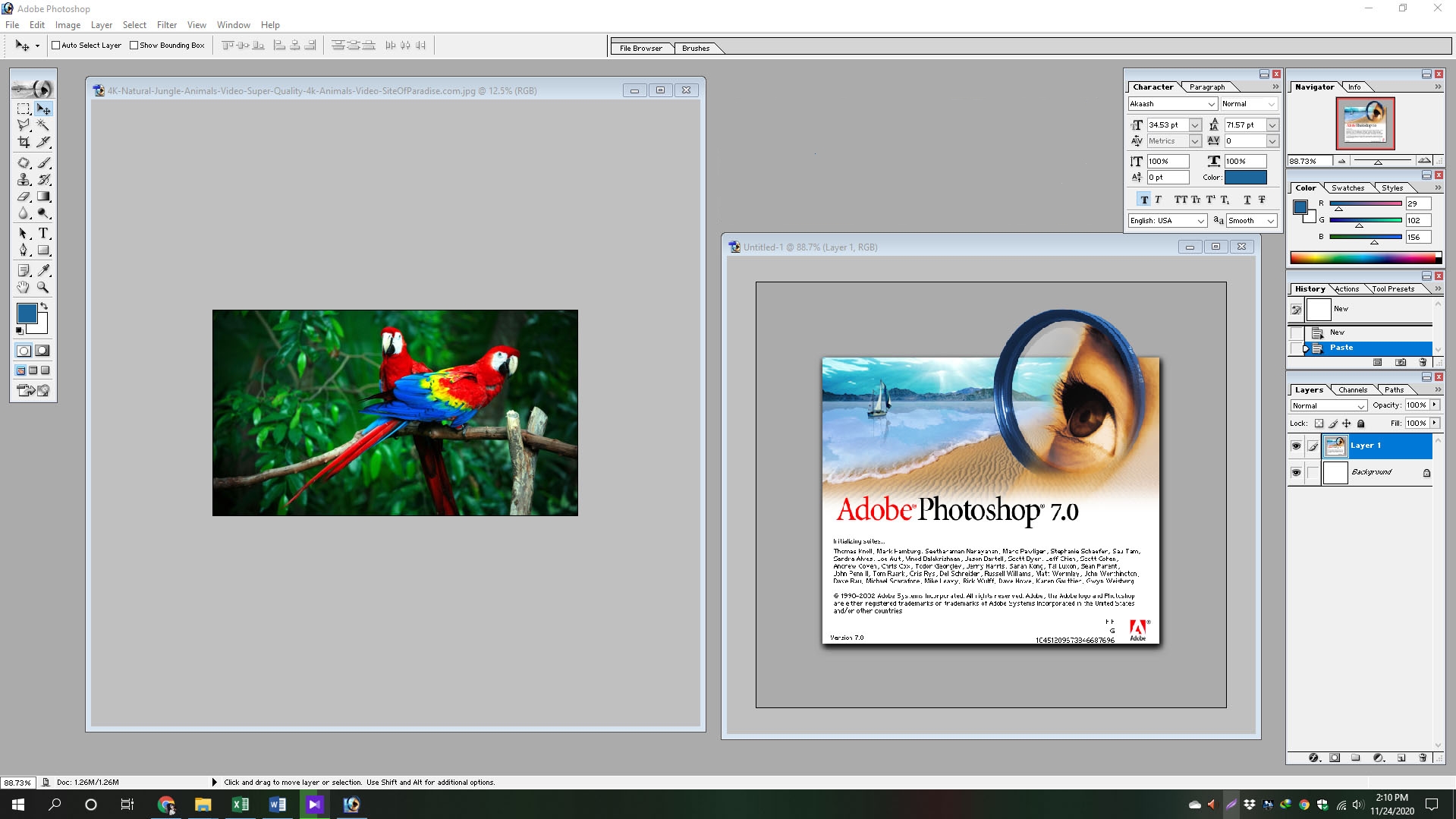 Adobe Photoshop 7.0 パッケージ版　Windows