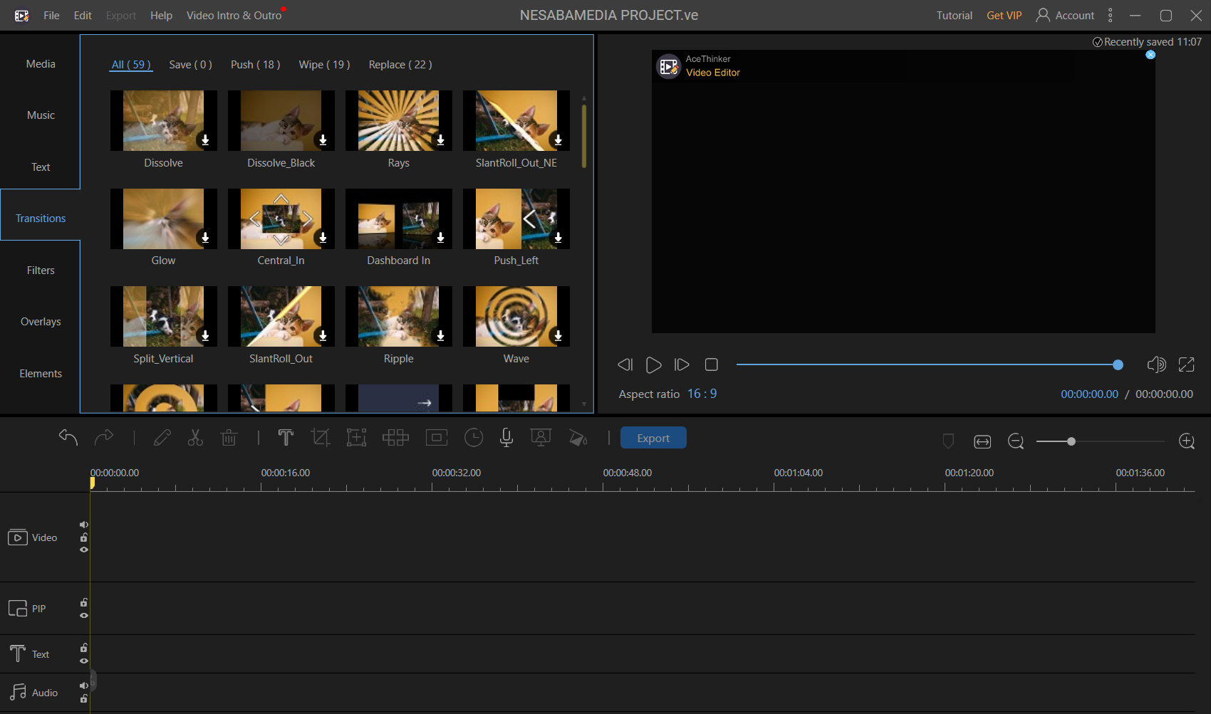 Acethinker Video Editor Pro 2