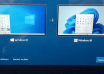 Windows 11 Kini Ditawarkan Lewat OOBE Windows 10