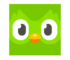 Download Duolingo APK for Android (Terbaru 2022)