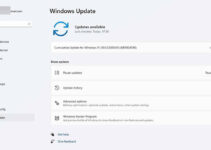 Yang Baru di Windows 11: Windows Update Settings