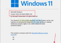 4 Cara Melihat Versi Windows 11 yang Kita Gunakan (+Gambar)