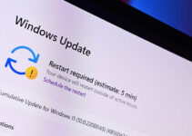 Windows 11 Pratinjau 22000.527 Berisi Peningkatan Edge dan Fitur Office Baru