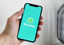 Begini Cara Menghilangkan Online di Whatsapp Paling Mudah