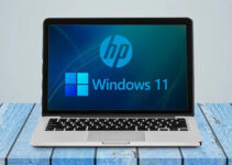 HP Hotkey UWP Service Bermasalah Setelah Pasang Windows 11, Pengguna Mengeluh