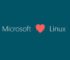 Microsoft Kembangkan Solusi Linux XDP for Windows, Sebagai Proyek Sumber Terbuka