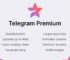 Pavel Durov Umumkan Telegram Premium Akan Hadir Bulan Ini