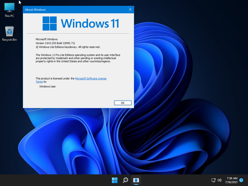 Fitur Windows 11 Pro Lite