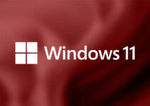 Pangsa Pasar Windows 11 Tembus 23%, Windows 10 Masih Tetap Dominan