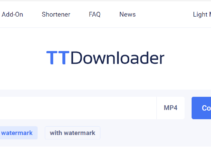 Download Berbagai Video TikTok dengan TTDownloader.net, Sangat Mudah!