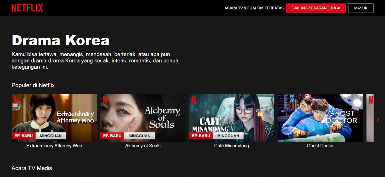 Situs Download Drama Korea Sub Indo Netflix