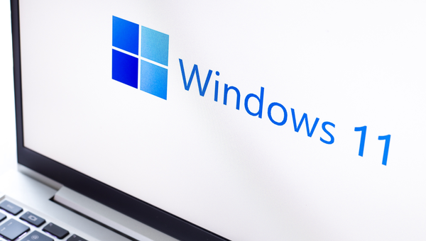 Microsoft Windows 11 2022