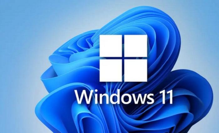 Windows 11 Insider dev Channel