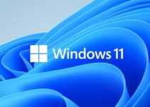 Kabar Buruk! Microsoft Tunda Windows 11 Update di Insider Dev Channel