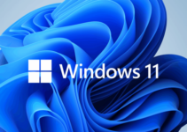 Pengguna Menemukan Banyak Masalah di Windows 11 22H2