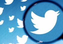 Twitter: Akun di Bawah 90 Hari akan Ditolak di Twitter Blue