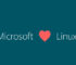 PWA dari Microsoft Teams Kini Diluncurkan untuk Linux