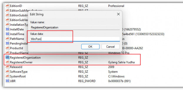 Personalisasi Windows 11, Mengubah Nama Winver Owner 2