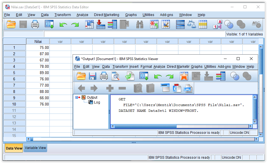 IBM SPSS 28 for Windows