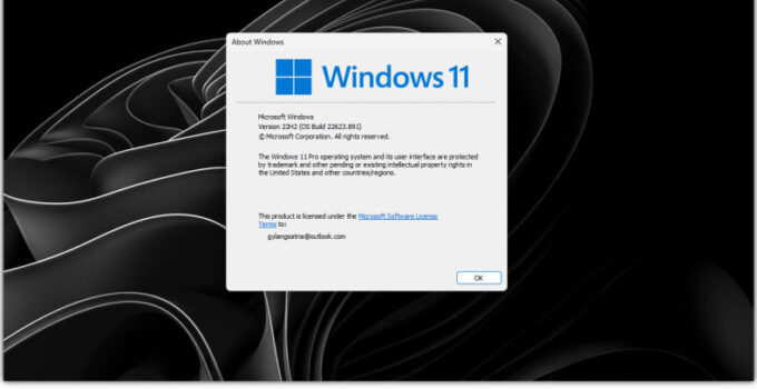 Personalisasi Windows 11, Mengubah Nama Winver Owner