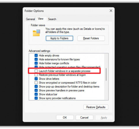 Ada Bug di Folder Option Windows 11 Insider Beta 2