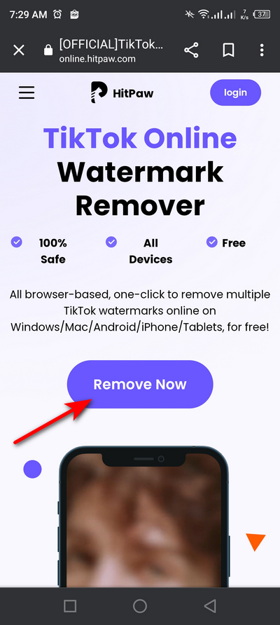 TikTok Online Watermark Remover 