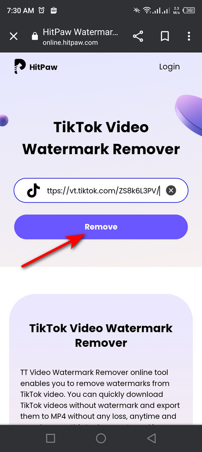 TikTok Online Watermark Remover 