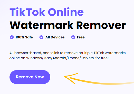 HitPaw TikTok Watermark Remover 2