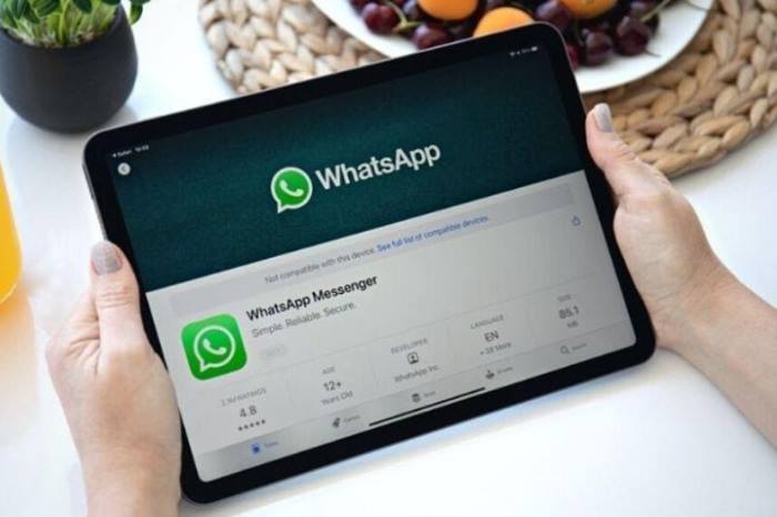 WhatsApp Kini Hadirkan Dual-Panel di Tablet Android