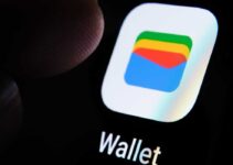 Google Wallet Resmi akan Gantikan Google Pay di Jepang