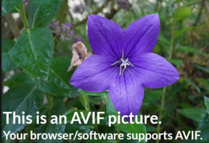 Buruan Update! AVIF Image Support Ada di Edge Chromium