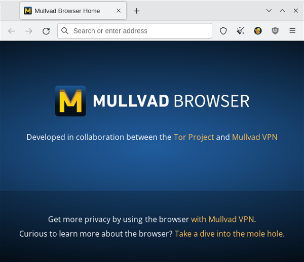 Download Mullvad Browser