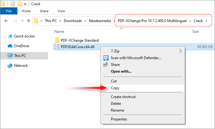 9 - salin file PDFXEditCore.x64.dll