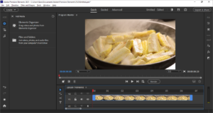 Cara Install dan Aktivasi Adobe Premiere Elements 2025 Adobe Premiere Elements 2025