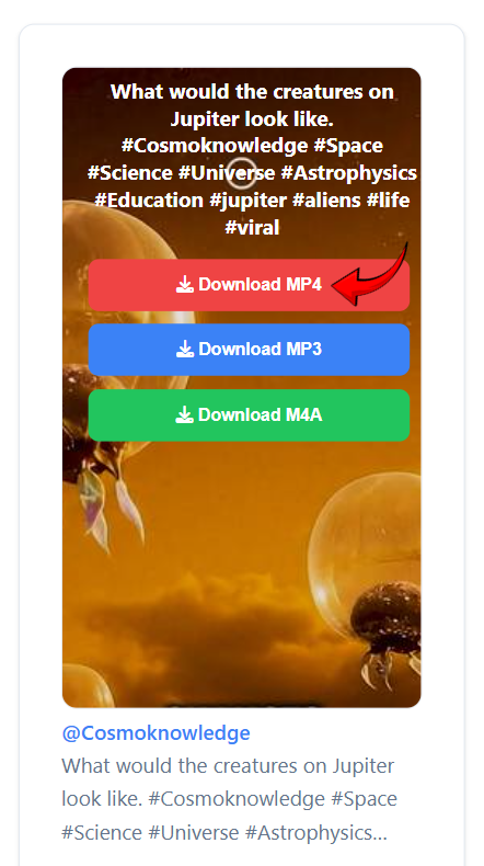 Download Video TikTok Full HD