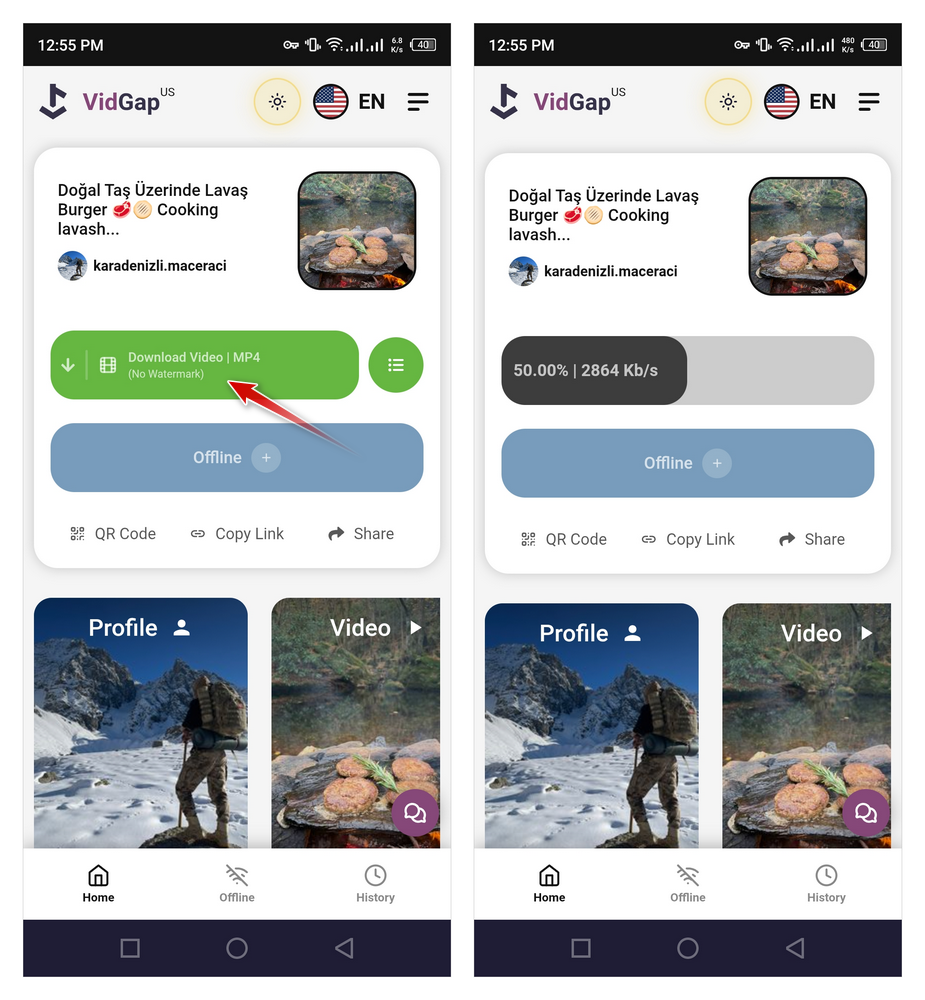 download video tiktok